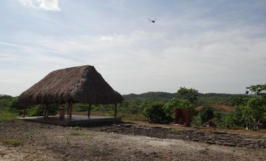 finca en venta en corregimiento de saco. Cod V13402