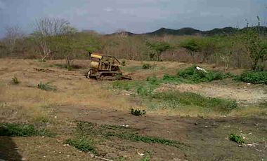 finca en venta en corregimiento de saco. Cod V13402