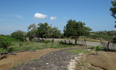 finca en venta en corregimiento de saco. Cod V13402