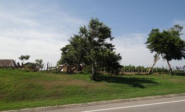 finca en venta en corregimiento de saco. Cod V13402