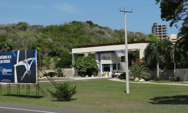 finca en venta en corregimiento de saco. Cod V13402