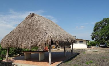 finca en venta en corregimiento de saco. Cod V13402