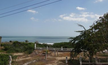 finca en venta en corregimiento de saco. Cod V13402