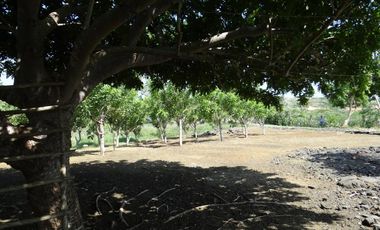 finca en venta en corregimiento de saco. Cod V13402