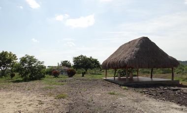 finca en venta en corregimiento de saco. Cod V13402