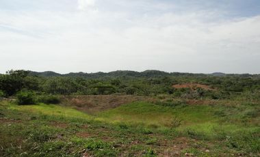 finca en venta en corregimiento de saco. Cod V13402