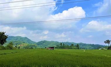Villa Tepi Jl Raya Solo – Tawangmangu Karanganyar
