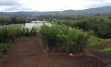 lote en venta en pavas. Cod V16937