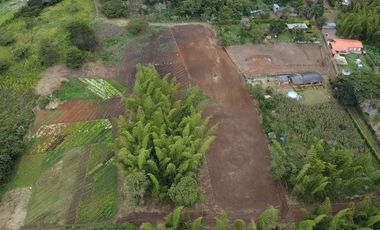 lote en venta en pavas. Cod V16937