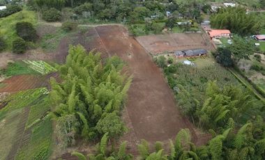 lote en venta en pavas. Cod V16937