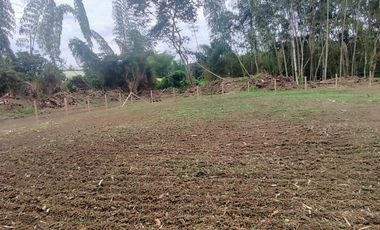 lote en venta en pavas. Cod V16937