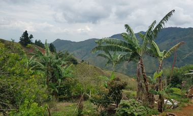 finca en venta en yumbo. Cod V11927