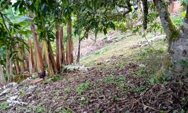 finca en venta en yumbo. Cod V11927