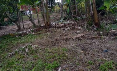 finca en venta en yumbo. Cod V11927