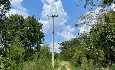 Hermosa Finca de 103 hectáreas  en venta cerca de Mérida