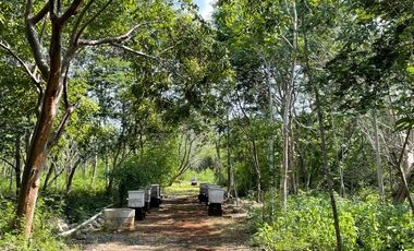 Hermosa Finca de 103 hectáreas  en venta cerca de Mérida