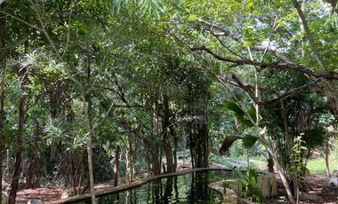 Hermosa Finca de 103 hectáreas  en venta cerca de Mérida