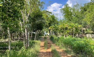 Hermosa Finca de 103 hectáreas  en venta cerca de Mérida