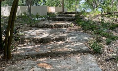 Hermosa Finca de 103 hectáreas  en venta cerca de Mérida