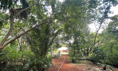 Hermosa Finca de 103 hectáreas  en venta cerca de Mérida