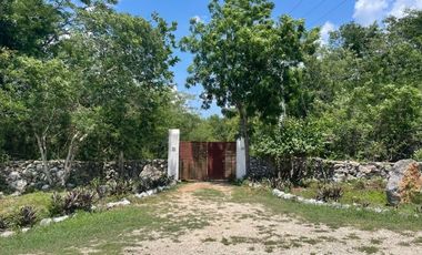 Hermosa Finca de 103 hectáreas  en venta cerca de Mérida