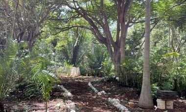 Hermosa Finca de 103 hectáreas  en venta cerca de Mérida