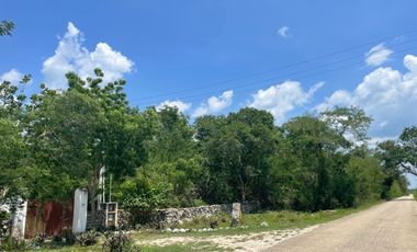 Hermosa Finca de 103 hectáreas  en venta cerca de Mérida