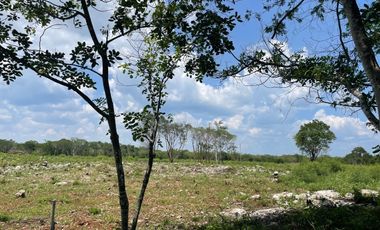 Hermosa Finca de 103 hectáreas  en venta cerca de Mérida