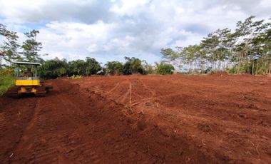 Tanah Pekalongan 60 Jt-an, Standar Perumahan, Cicil 12x