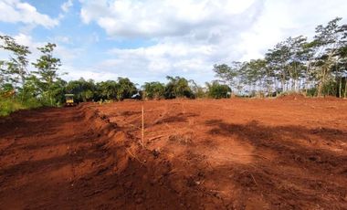 Tanah Pekalongan 60 Jt-an, Standar Perumahan, Cicil 12x