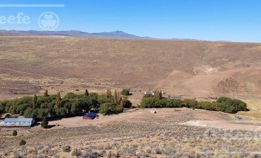 Campo Estancia en venta de 5300 has en Patagonia Bariloche.