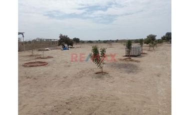 Venta De Terreno En Villa La Palma