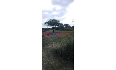 Venta De Terreno En Villa La Palma