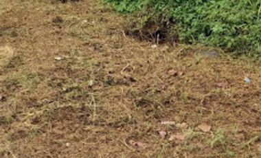 lote en venta en sabanilla. Cod V66