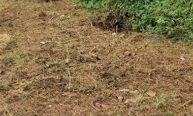 lote en venta en sabanilla. Cod V66