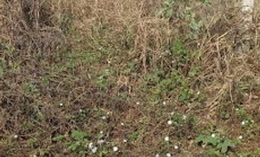 lote en venta en sabanilla. Cod V66