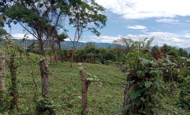 finca en venta en sin barrio. Cod V9162166