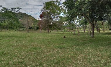 finca en venta en sin barrio. Cod V9162166