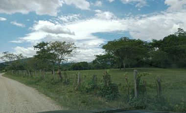 finca en venta en sin barrio. Cod V9162166