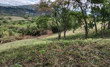 finca en venta en sin barrio. Cod V9162166