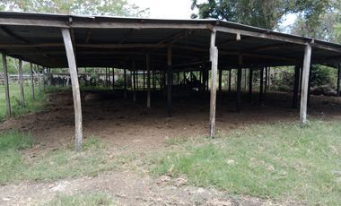 finca en venta en sin barrio. Cod V9162166