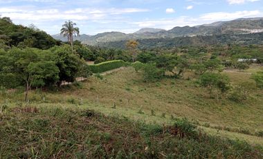 finca en venta en sin barrio. Cod V9162166