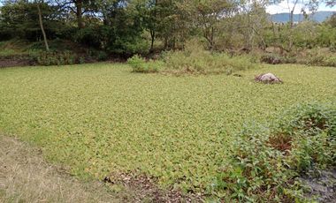 finca en venta en sin barrio. Cod V9162166