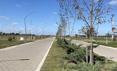 Terreno 300m2 - EcoTierra  - Pueblo Esther - Distrito Cero