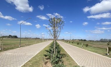 Terreno 300m2 - EcoTierra  - Pueblo Esther - Distrito Cero