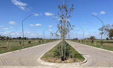 Terreno 300m2 - EcoTierra  - Pueblo Esther - Distrito Cero