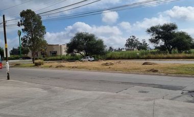 Terreno en Venta en Avenida Sabinos