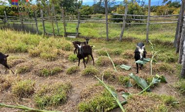 Casa de campo con terreno en Chachimbiro