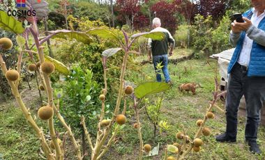 Casa de campo con terreno en Chachimbiro