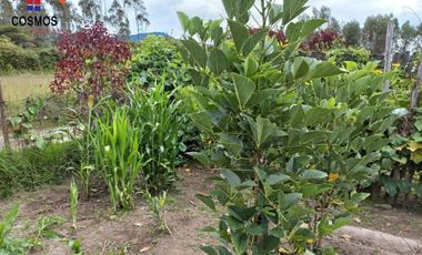 Casa de campo con terreno en Chachimbiro